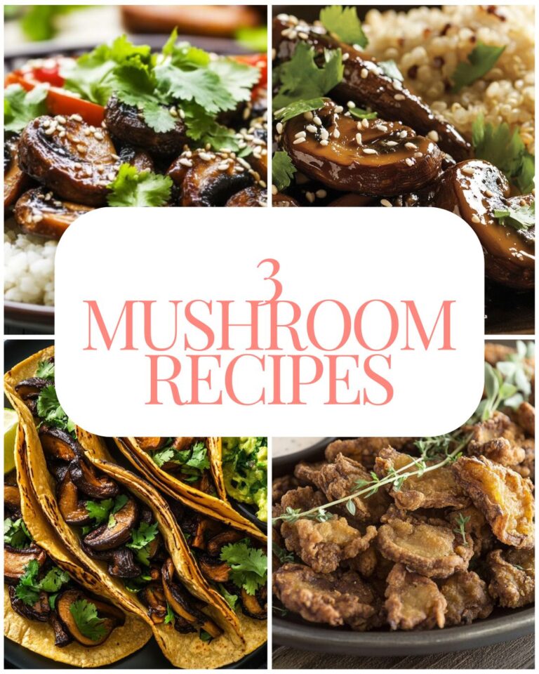 3 Mushroom Recipe 3 Mushroom Recipes