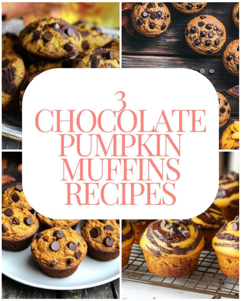 3 Chocolate Pumpkin Muffins Recipes 3 Chocolate Pumpkin Muffins Recipes