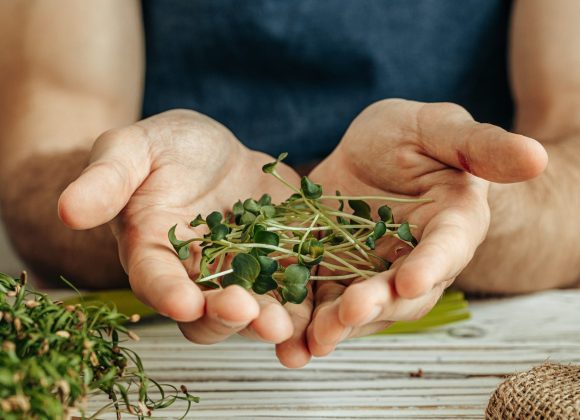 Why Microgreens Are the Ultimate Edible Garnish Microgreens