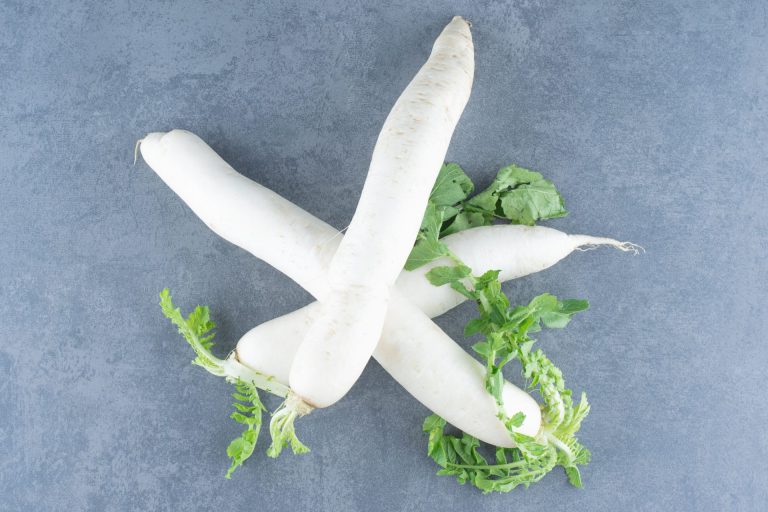 Daikon Radish