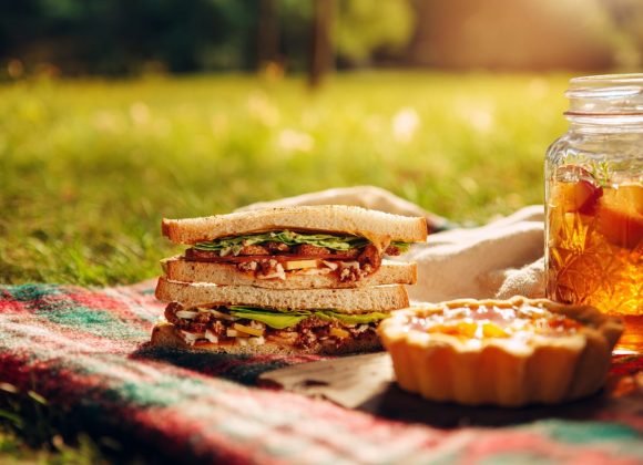 Summer Picnic Vibes_1