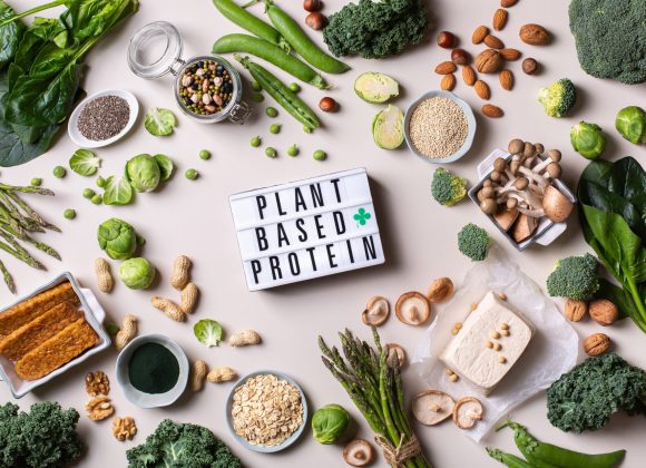 variety-of-vegan-plant-based-protein-food-2024-10-17-07-23-15-utc